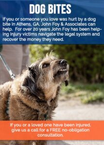 Athens Dog Bite Lawyer