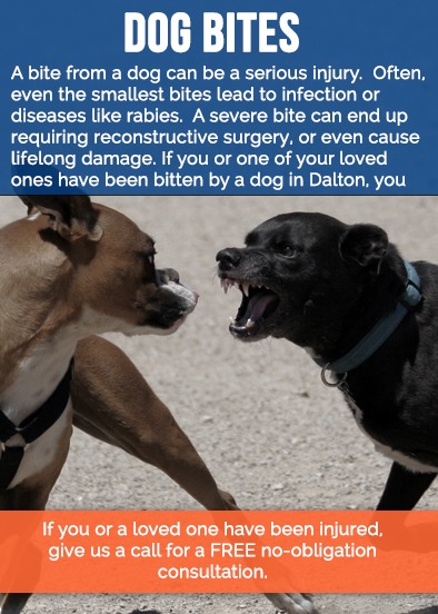can a dog bite give you rabies