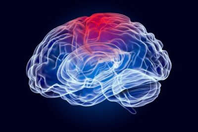 Savannah ga traumatic brain injury lawyer