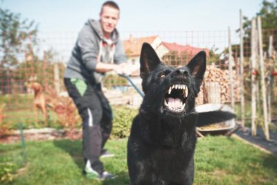 Pet owner holding barking dog on leash