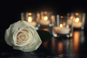 White rose blurred with burning candles